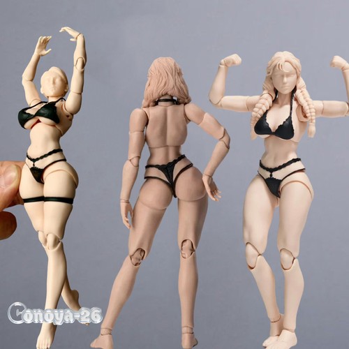 Notaman 12 scale - notaman, nt-04