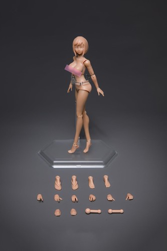 Fremego scale female - scale,