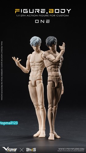 Vtoys bms 12 male - us,