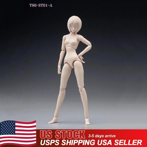 86toys female joint - 1:12,